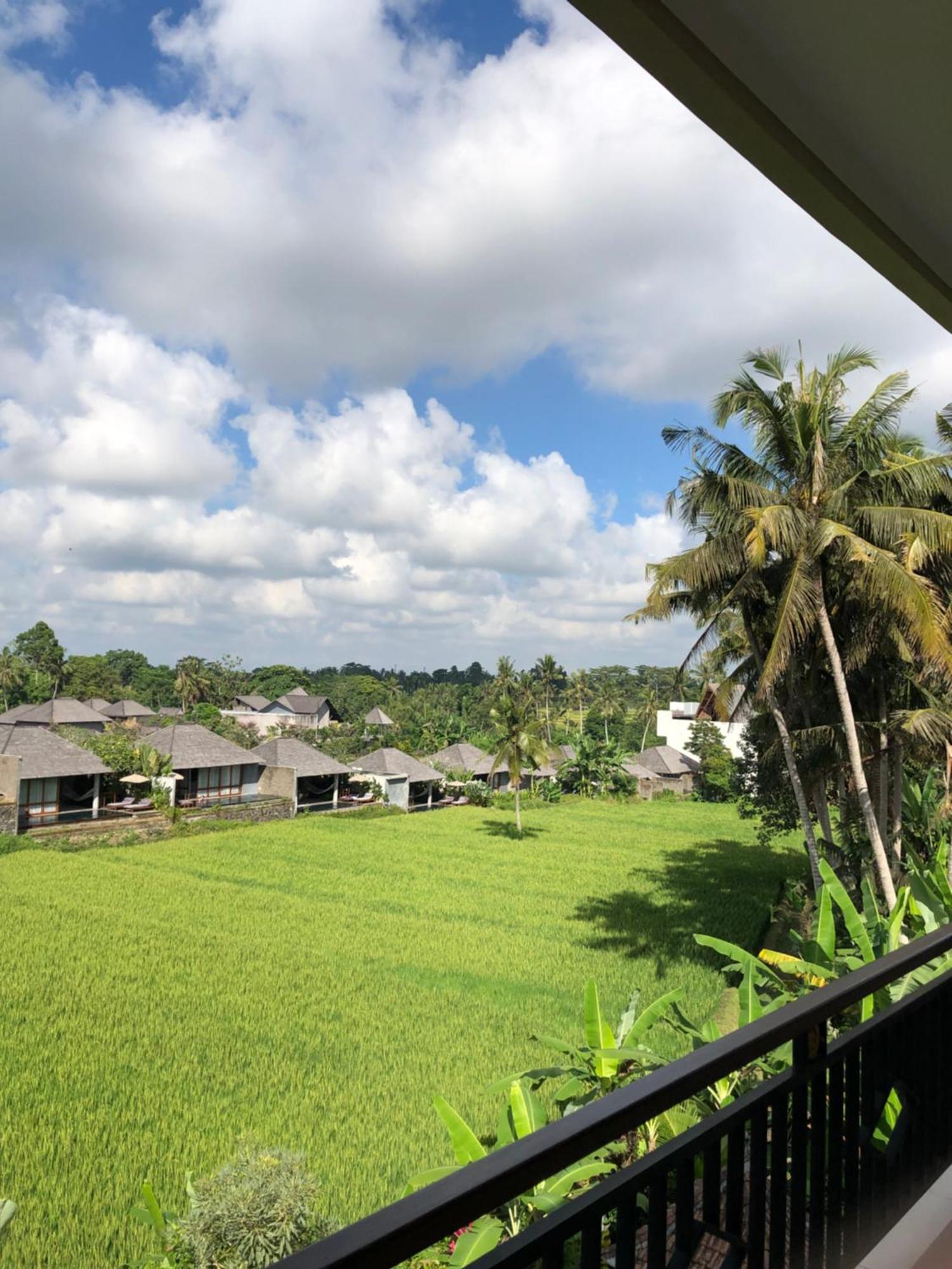 Mira Family Cottages Ubud Buitenkant foto