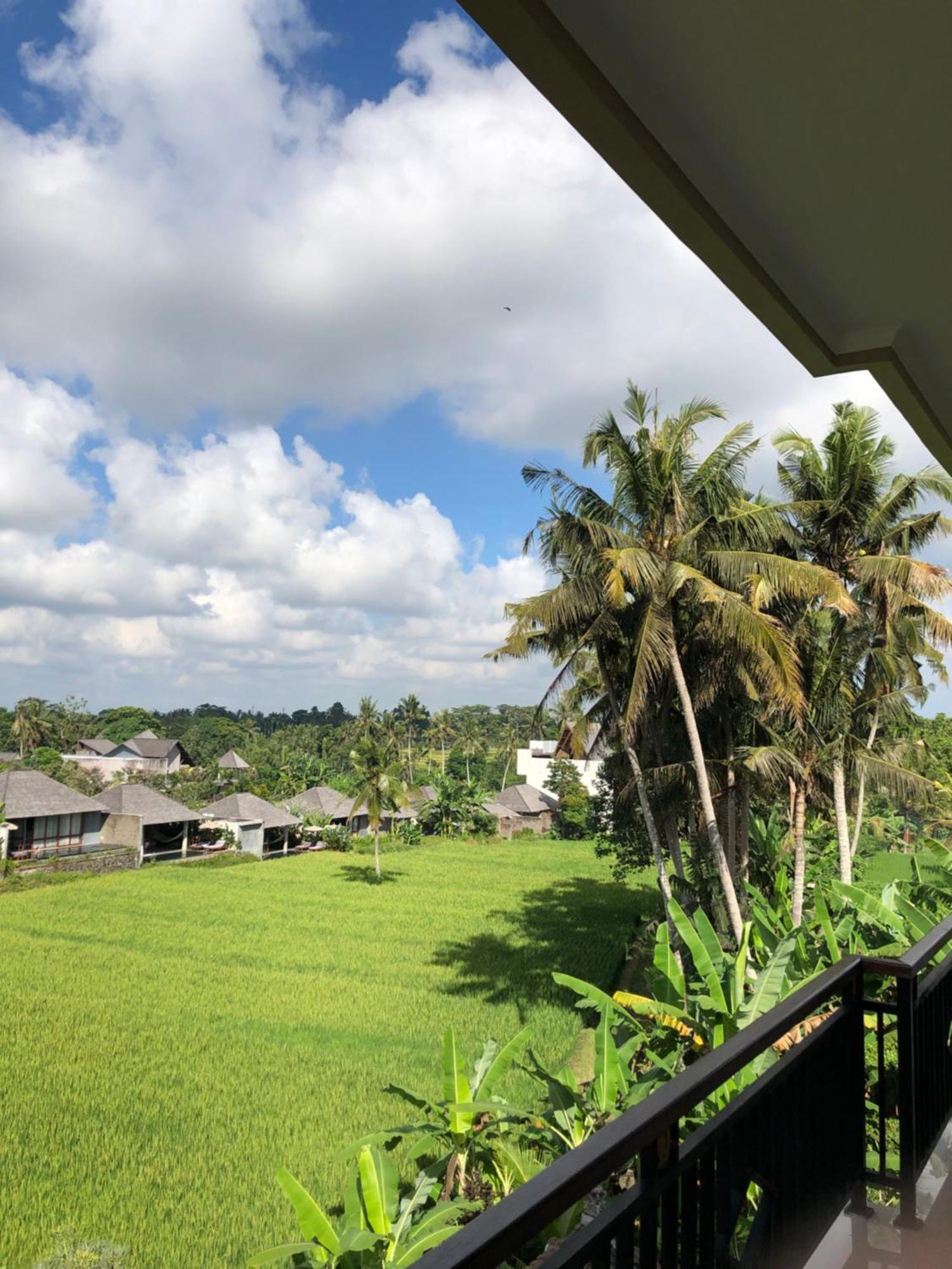Mira Family Cottages Ubud Buitenkant foto