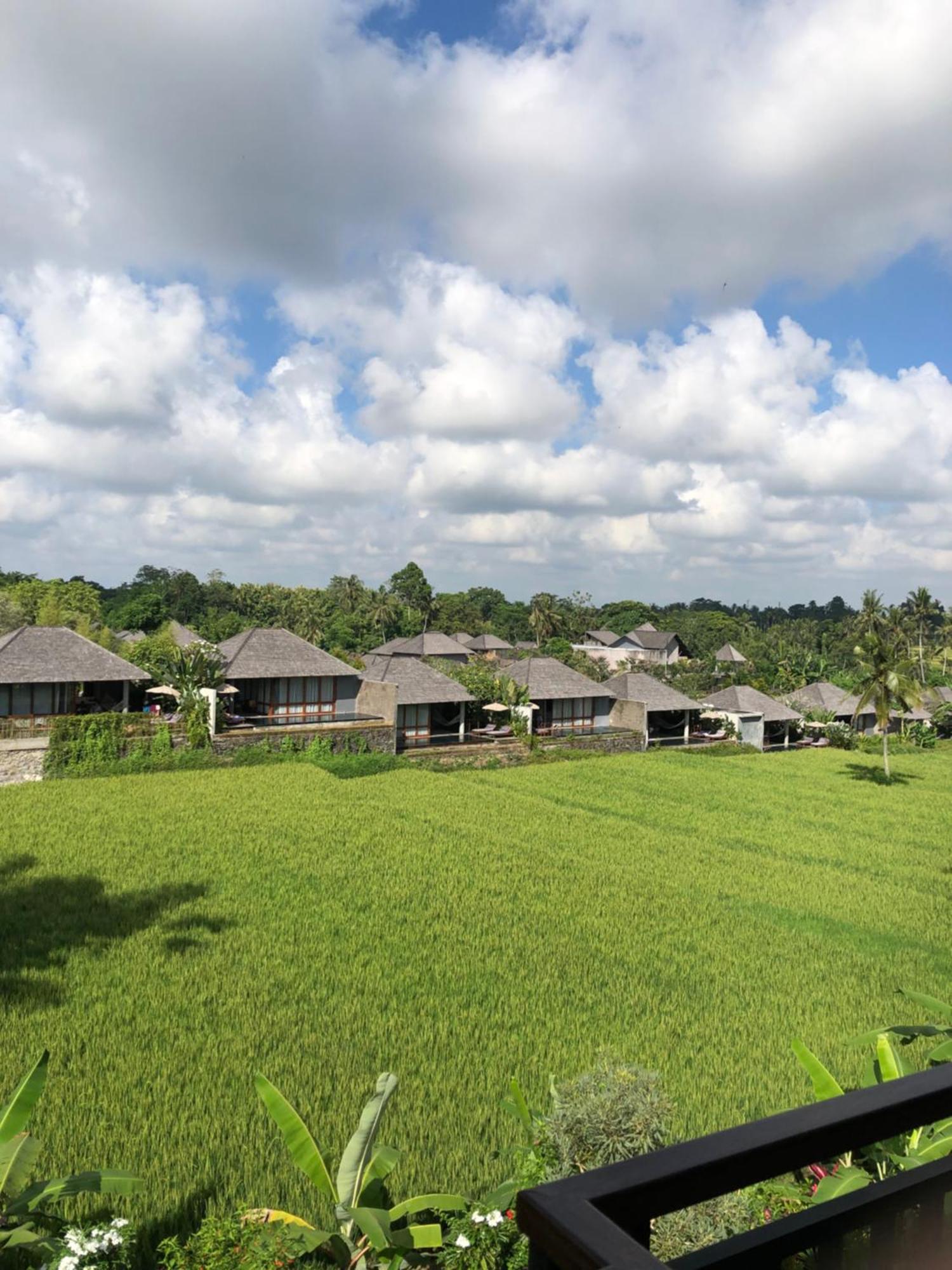 Mira Family Cottages Ubud Buitenkant foto
